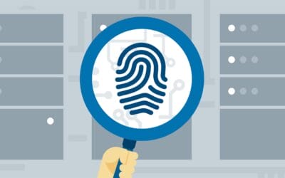 7 Points of Identification to Enhance Customer Experience (CX)